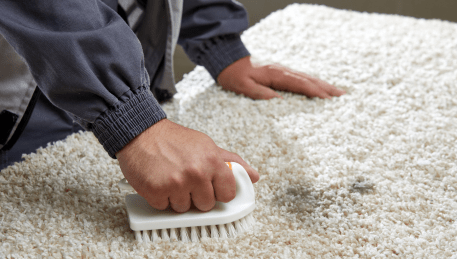 Professional Rug Cleaning Cairnlea
